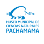 Pachamama-300x212